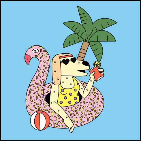banner_02_pickledcactus